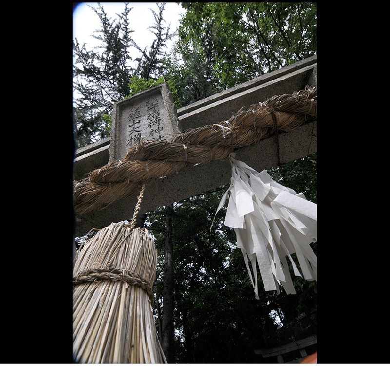 銀塩スライド ～ DSC_4204