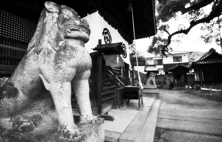 尾道　神社狛犬