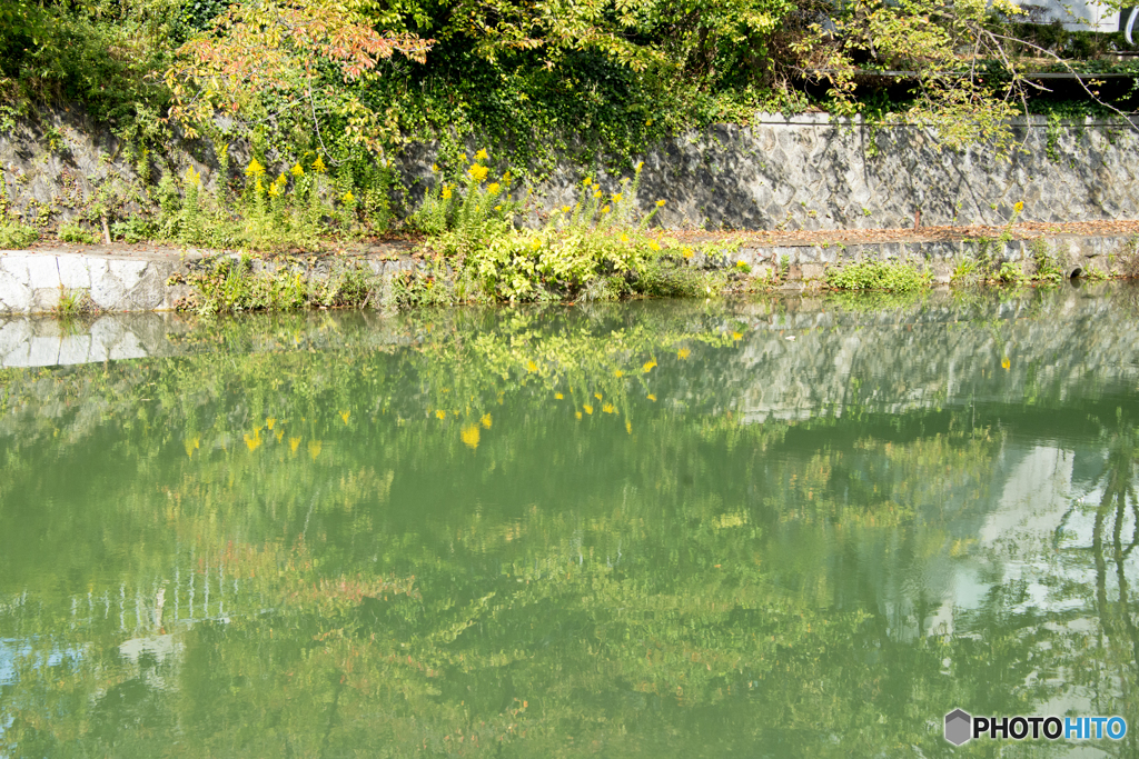 琵琶湖疏水　秋景