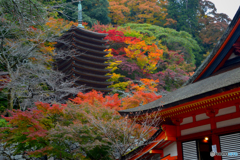 談山神社の紅葉