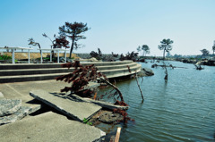 菖蒲田海水浴場 01