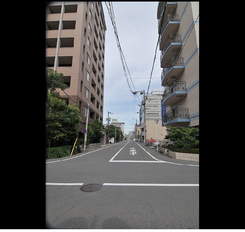 銀塩スライド ～ DSC_4195