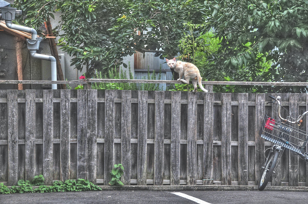 Kurashiki City 01 /HDR