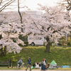 桜と行き交う人々