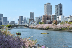 大阪の春＠大阪造幣局周辺