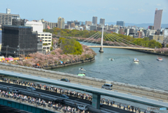 桜に魅せられる人々＠大阪造幣局の桜