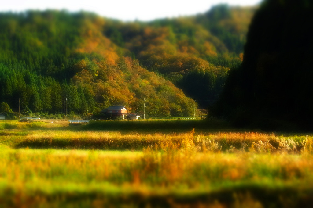 Toyooka City 02