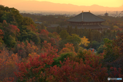 奈良の秋♪@奈良奥山ドライブウェイ