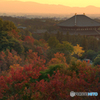 奈良の秋♪@奈良奥山ドライブウェイ