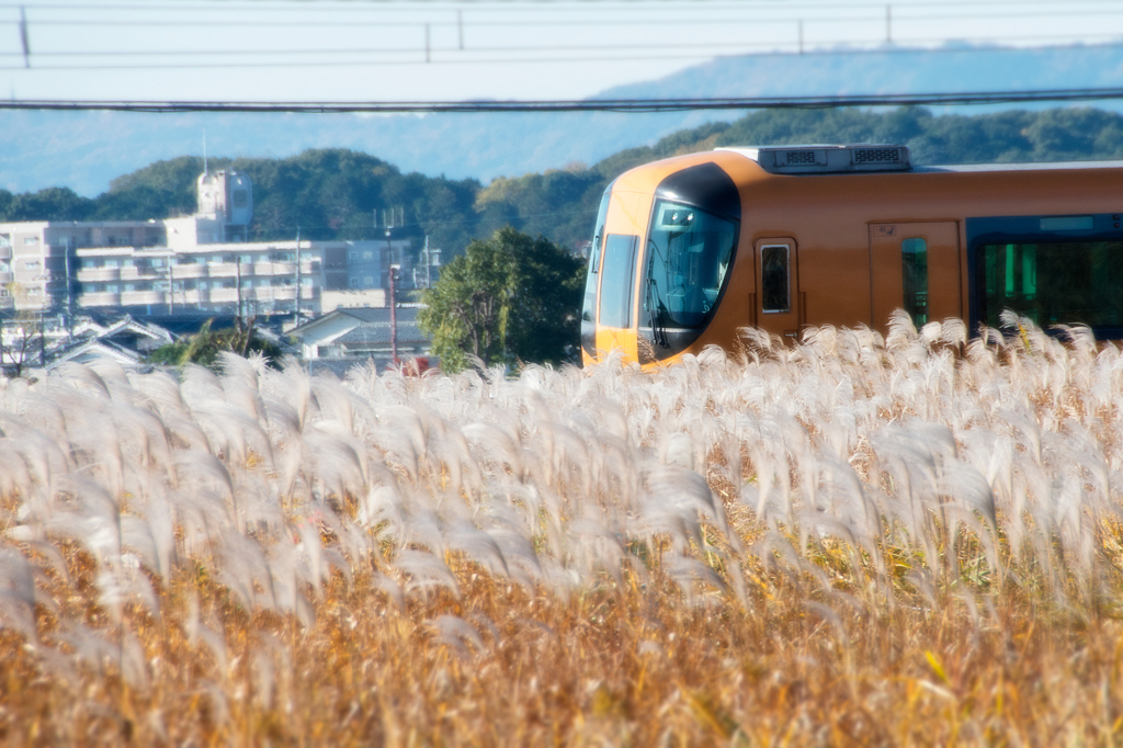 朝の風景４