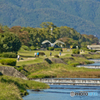 鴨川　出町柳辺り　２