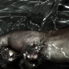 Splash Water test 06