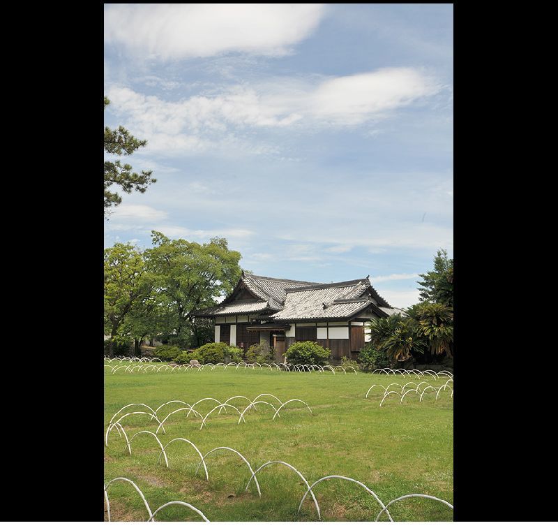 銀塩スライド ～ DSC_4171