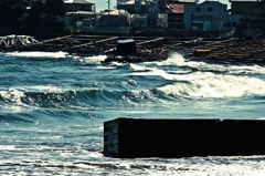 菖蒲田海水浴場 03