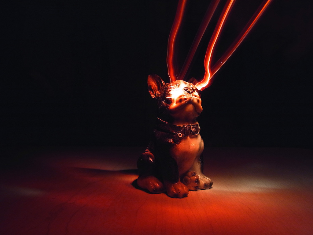 Dog 03/ Light Painting