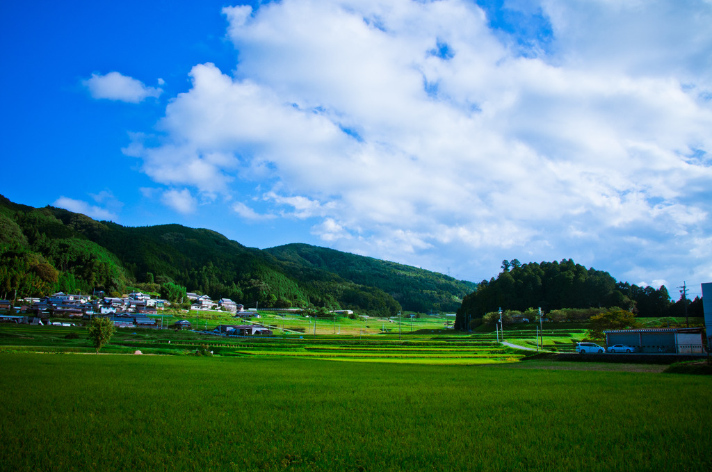 大慈仙町 ３６９号線