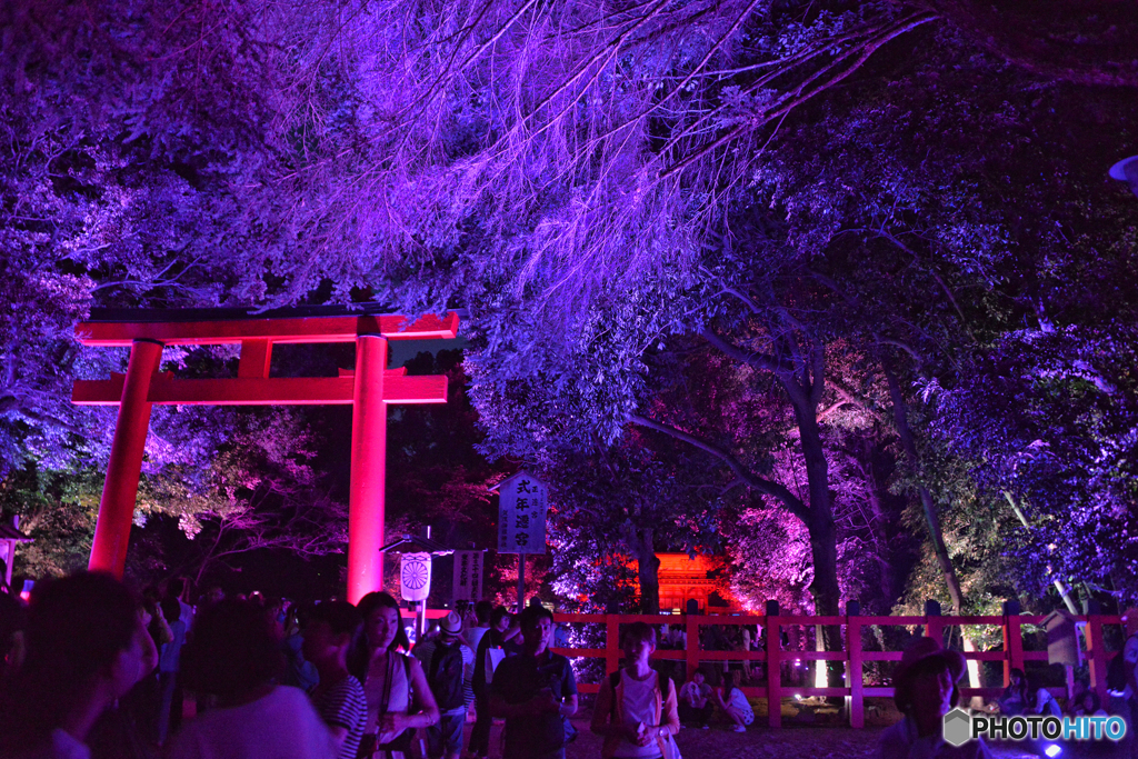 糺の森の光の祭02@下鴨神社