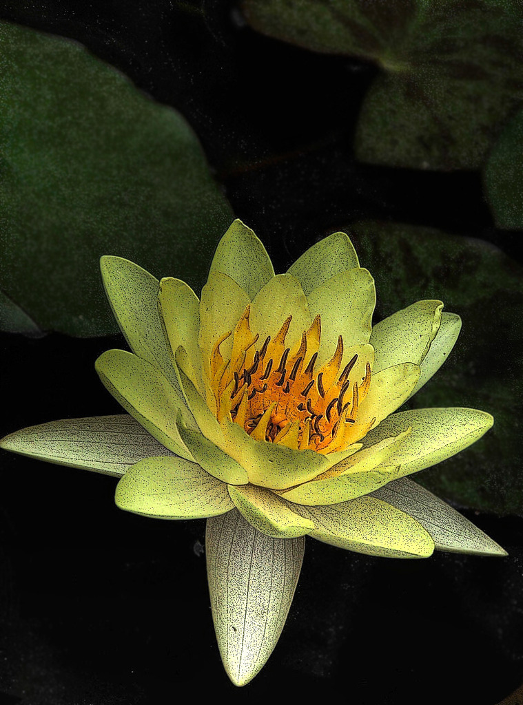 Test effect 01 /HDR