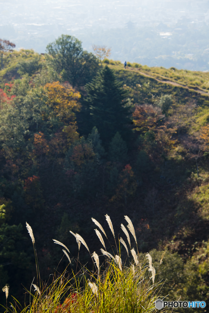 色づき始めの若草山