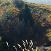 色づき始めの若草山