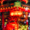獅子 /HDR