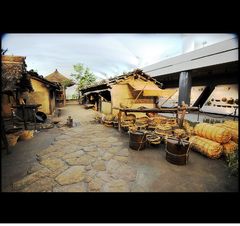 銀塩スライド ～ DSC_4216