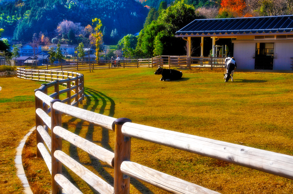牧場 /HDR TONE