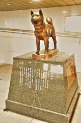 紀州犬の銅像　01/ HDR