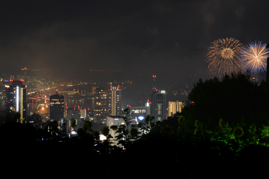 神戸の夜景＠布引ハーブ園
