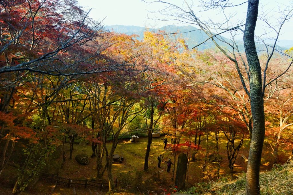 笠置山の秋模様5