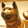 紀州犬の銅像　02/ HDR
