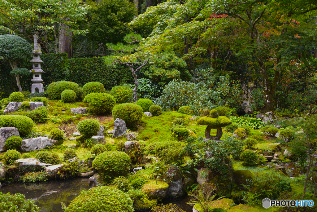 聚碧園庭園@三千院