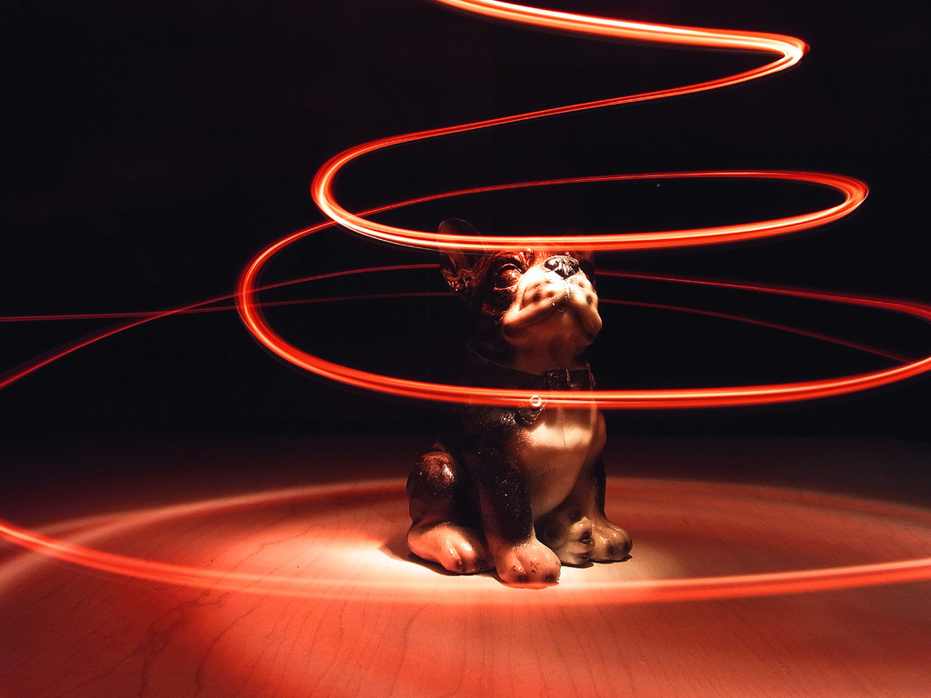 Dog 02/ Light Painting