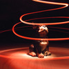 Dog 02/ Light Painting