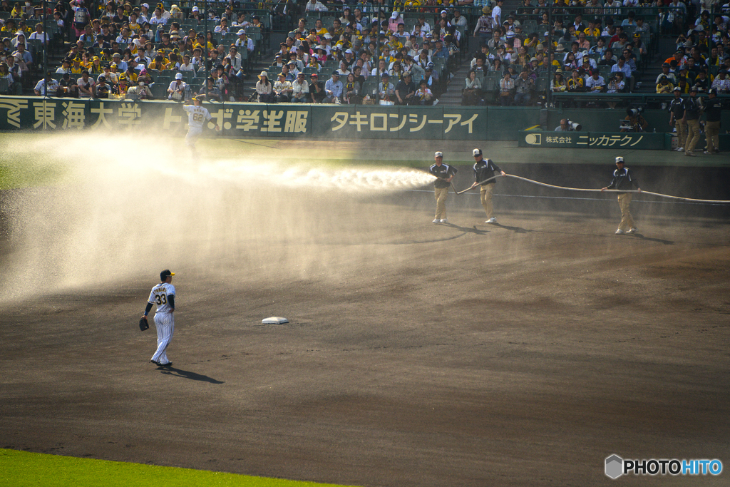 甲子園球場　３／４