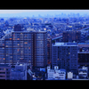 Sakai city 02/HDR