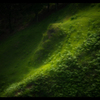 若草山 /Test effect