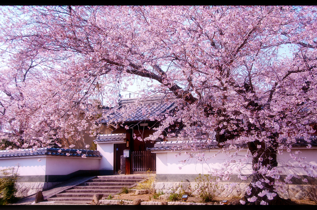 木津川市 安福寺