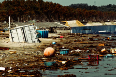 菖蒲田海水浴場 05