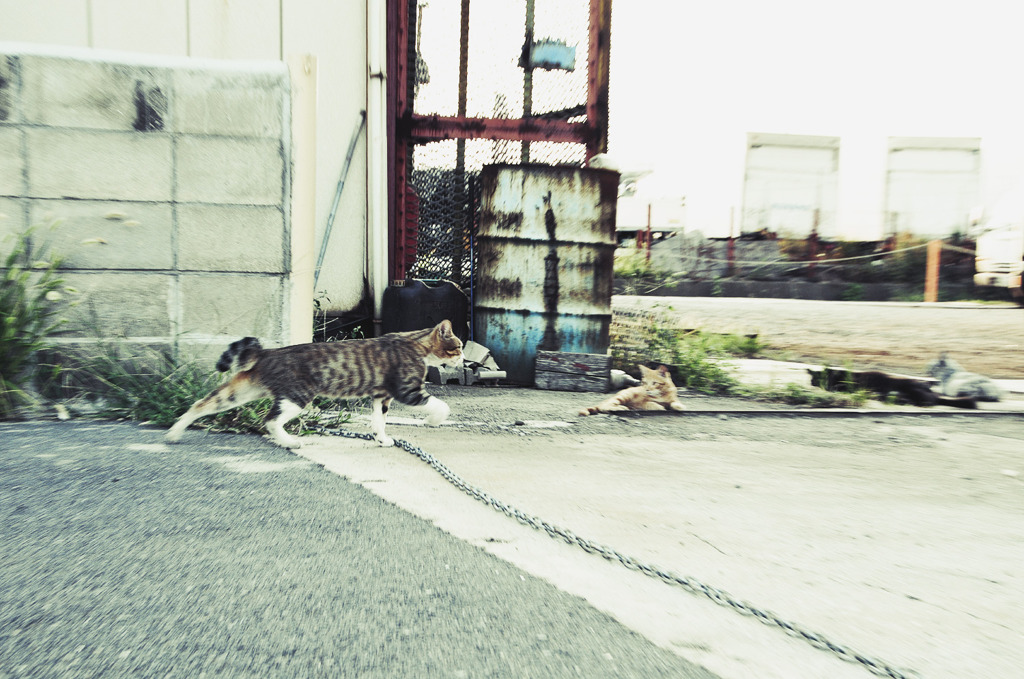 Wakayama city 07
