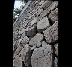 銀塩スライド ～ DSC_4156