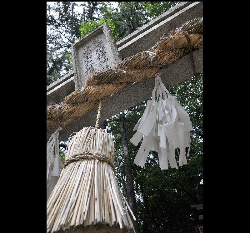 銀塩スライド ～ DSC_4201