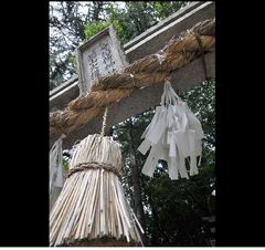 銀塩スライド ～ DSC_4201