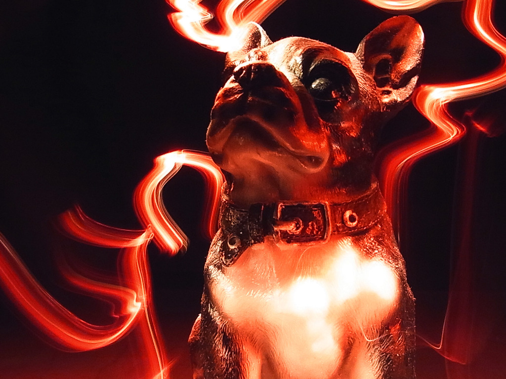 Dog 01/ Light Painting