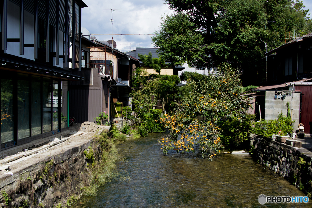京都散歩　１／４