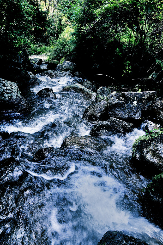 南山城村６/HDR