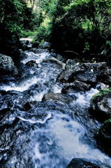 南山城村６/HDR