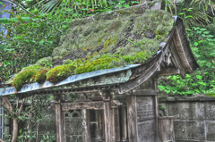 Yoshino mountain 17 / HDR