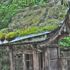 Yoshino mountain 17 / HDR