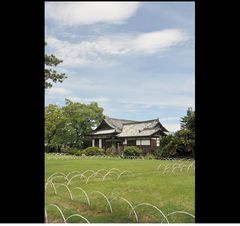 銀塩スライド ～ DSC_4171